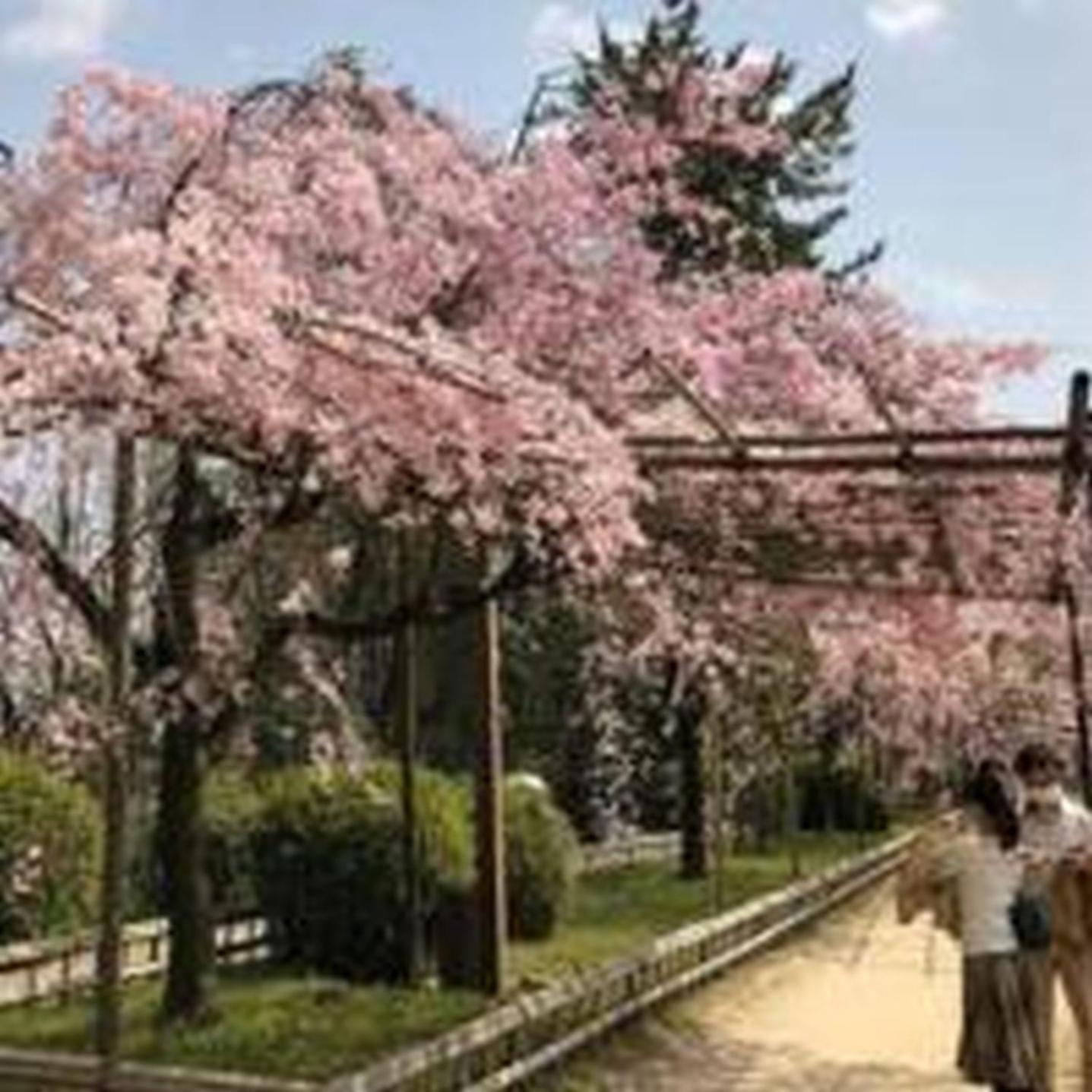 Appartement むつみ庵此花601 à Ōsaka Extérieur photo